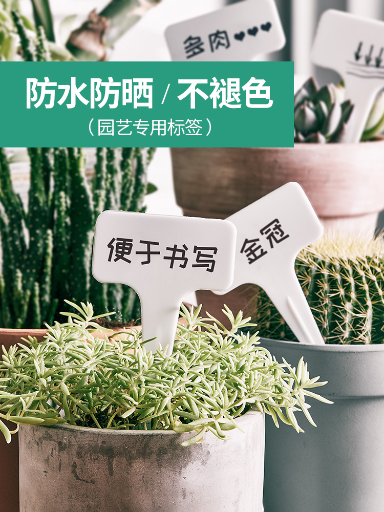 园艺标签多肉绿植花卉植物盆栽t型插花盆花名字标识品种环形扣