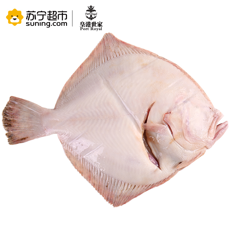 [活杀]皇港世家 活鲜水产 多宝鱼500g