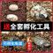 神龟可孵化乌龟蛋可孵化受精甲鱼蛋火焰草龟巴西鳄龟蛋蛭石盒 买2送2黑花甲鱼蛋送孵化沙鱼粮