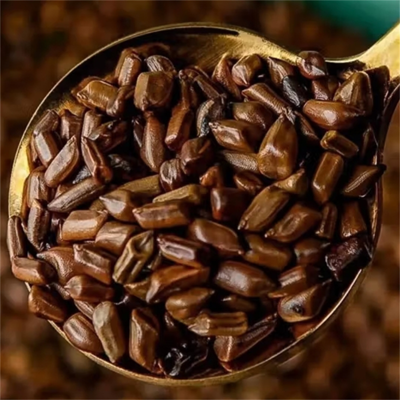 甄选决明子100克干货新货正品决明子另售菊花枸杞山楂9260高清大图