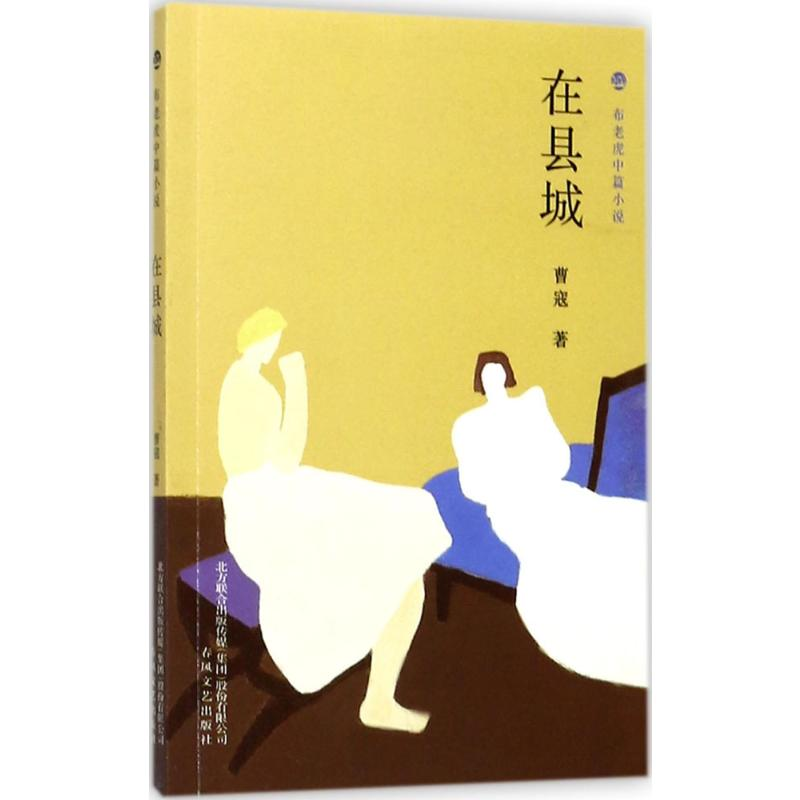 醉染图书在县城9787531353003高清大图