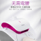 海尔（Haier）挂烫机HGS-2417双杆挂烫机立式挂式蒸汽熨斗烫衣服熨烫机家用挂烫机
