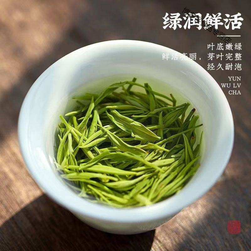 云雾绿茶 新茶明前花果香春茶浓香型耐泡送礼盒装400g