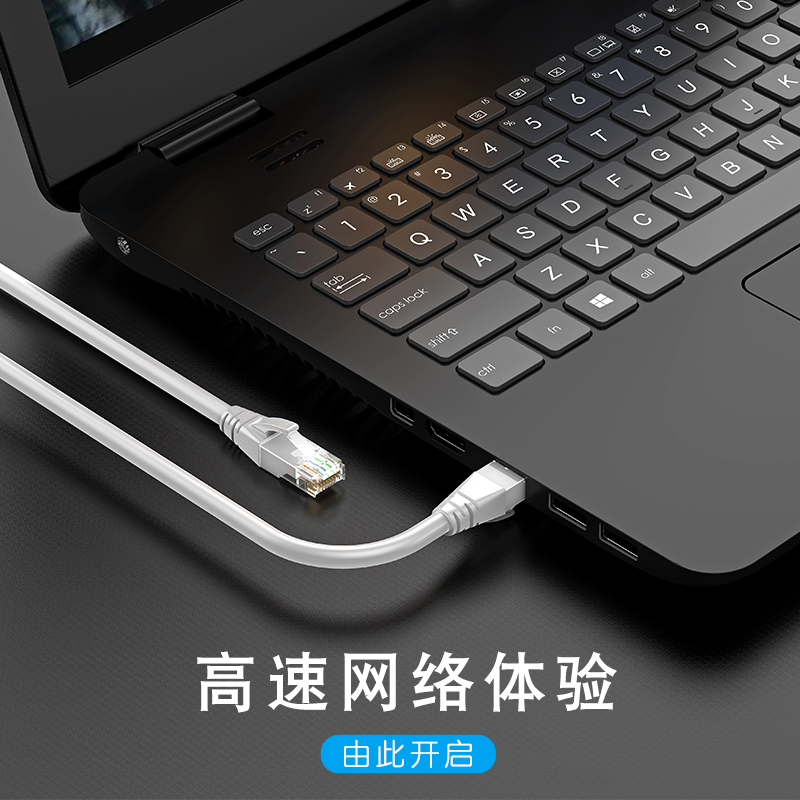 晶华 五类网线 高速百兆网络连接线 CAT5类家用工程宽带电脑路由器RJ45成品跳线八芯双绞线 灰色1米W183C