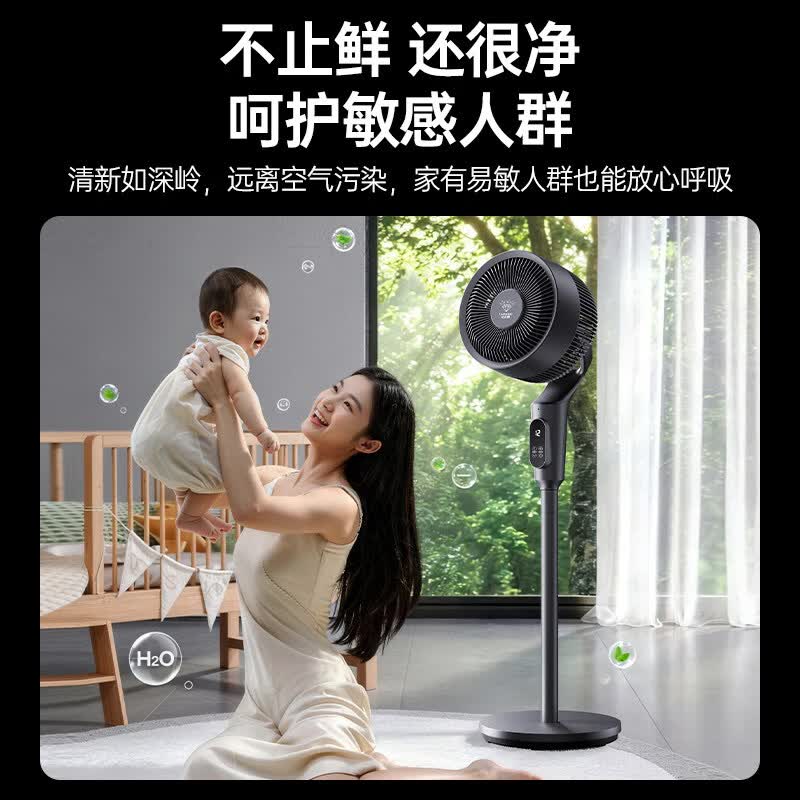 钻石牌(DIAMOND) 循环扇2039FC语音DFX-20YDD02XD 家用电风扇轻音 ZSX39H-Y高清大图