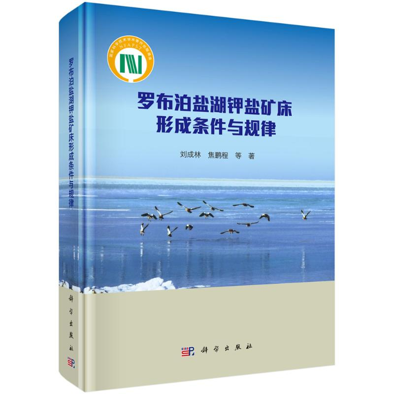 【M】罗布泊盐湖钾盐矿床形成条件与规律(精)-9787030641878