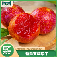【苏鲜生】国产李子 福建古田芙蓉李 现摘现发精选 大果 净重4.5-5斤 新鲜水果