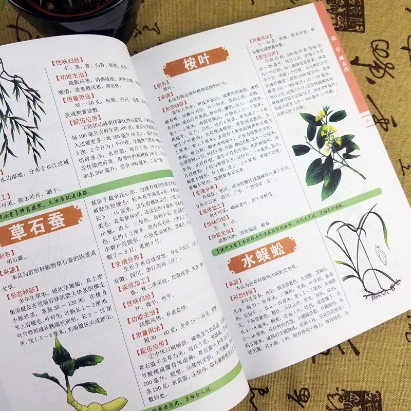 图解本草纲目彩图版李时珍原著中医养生书籍大全中药书中草药书神农