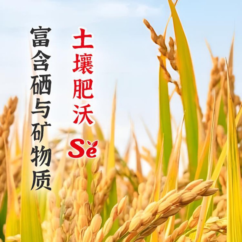 陇间柒月 六月富硒大米1kg (C01)高清大图