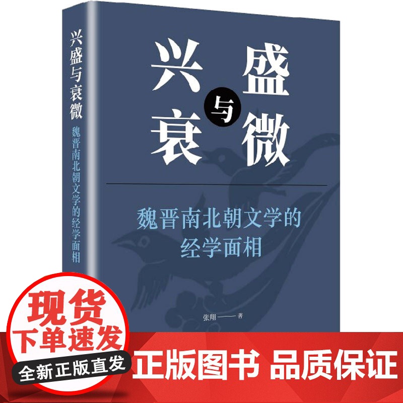 兴盛与衰微 魏晋南北朝文学的经学面相 张翔 著 上海文艺出版社 成功学 成功