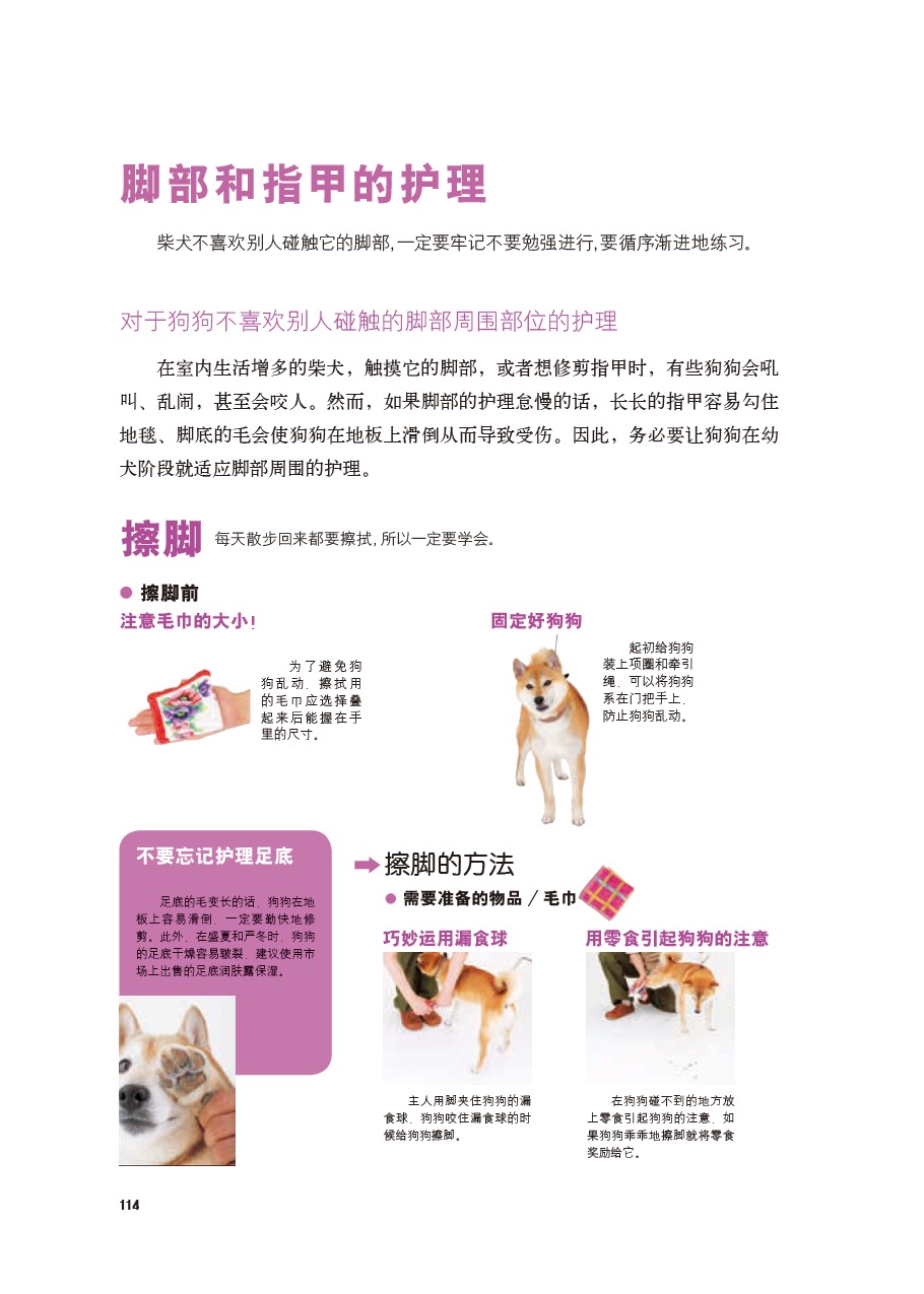 [醉染正版]柴犬养护全程指导 全彩图解柴犬饲养方法养护全程指导宠物狗喂养实用手册新手入门狗狗的日常护理与驯养一本书读懂你高清大图