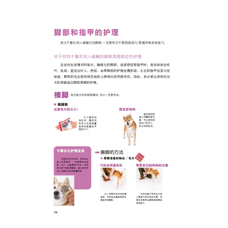 [醉染正版]柴犬养护全程指导 全彩图解柴犬饲养方法养护全程指导宠物狗喂养实用手册新手入门狗狗的日常护理与驯养一本书读懂你