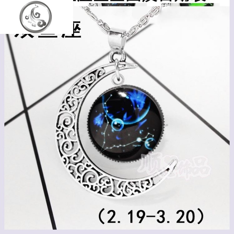 十二星座项链星空夜光配饰男生女生韩版情侣闺蜜生日12款百搭 JiMi 双鱼座(2月19-3月20)