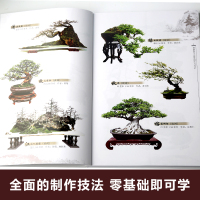 [正版]图解树木盆景制作与养护 盆景书籍盆栽图书大全树木盆景造型设计书栽培技术盆景栽培技术书中小型盆景制作图解家庭园艺