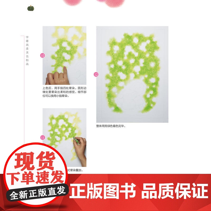 色粉画入门:色粉画技法经典教程,美术零基础也能立刻上手高清大图