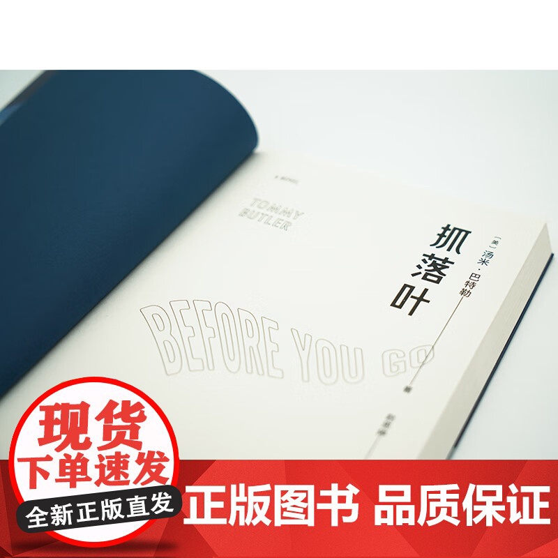 [小嘉]抓落叶 2024版 汤米·巴特勒著 外国科幻文学心理治愈小说 我们都是生命的旅人抵达终点就是人生的意义 正版书籍高清大图