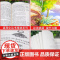 格林童话全集三年级必读的课外书上册完整版故事书小学生3年级阅读书籍老师经典书目教师儿童文学读物格林兄弟著快乐读书吧