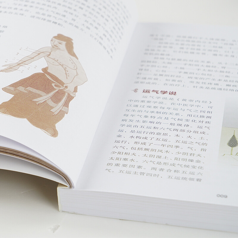 [醉染正版]黄帝内经 彩色图解版 原著全集正版本草纲目全译全解白话文版中医书籍基础理论入门图解原文注解中医名著养生书籍皇高清大图