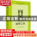 加州之旅