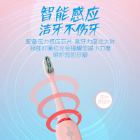 博皓(prooral)电动牙刷男女情侣款软毛成人声波全自动智能牙刷 2403白色