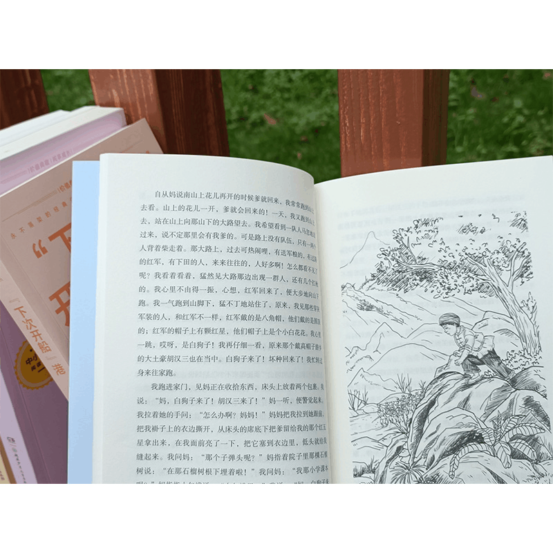 醉染图书中小学生阅读书系:闪闪的红星9787556256891图片