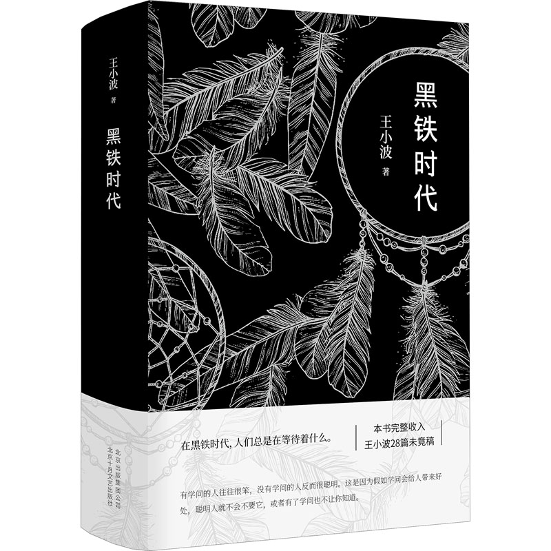 醉染图书黑铁时代9787530218518高清大图