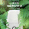 格力(GREE)除湿机DH12EA 抽湿机/ 家用卧室办公室低噪音干衣机吸湿机除湿器12升/天适用面积 18-22平方米