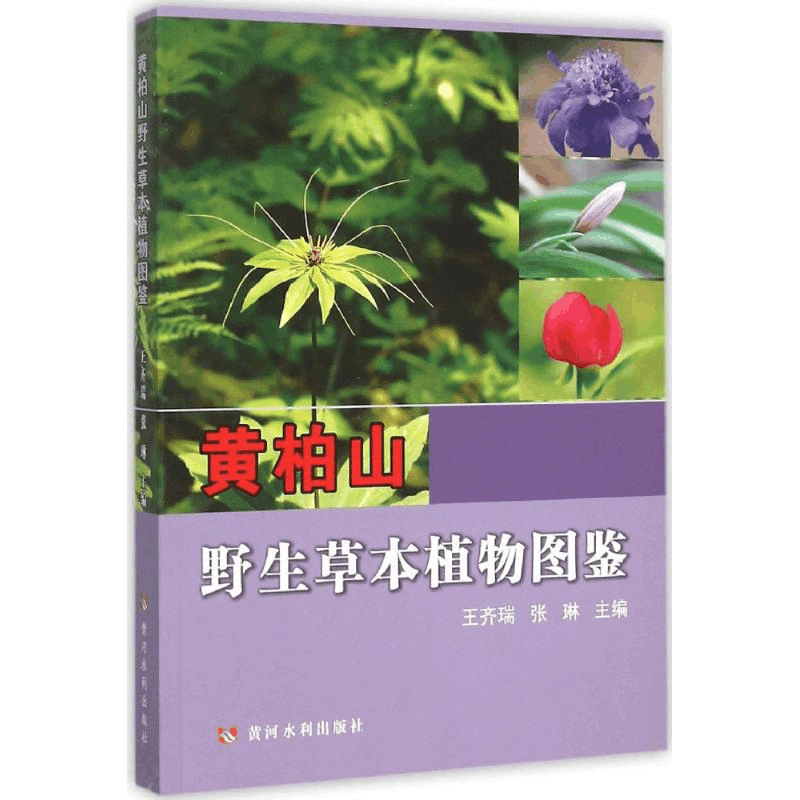 [M]黄柏山野生草本植物图鉴-9787550911819图片