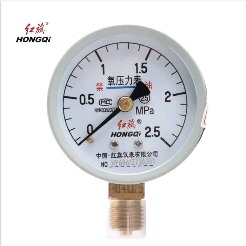 红旗 智能数字压力表精检款 YS-100 0.5级 块