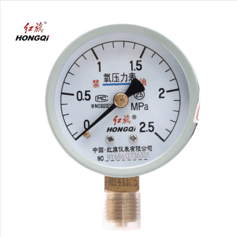 红旗 智能数字压力表精检款 YS-100 0.5级 块图片