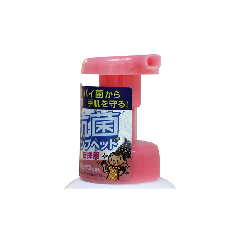 [日本进口]狮王(LION) KIREI KIREI泡沫洁净洗手液油污清洁剂 水果味 250ml