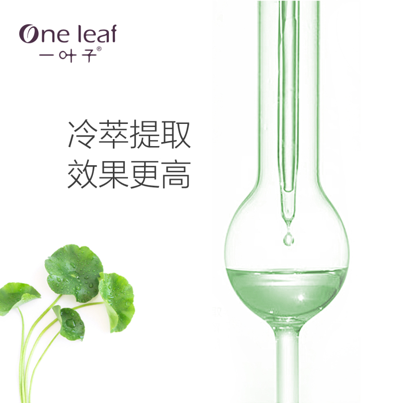 一叶子积雪草舒缓修护精华乳液补水保湿护肤女舒缓修复维稳肌肤男女通用 100ml