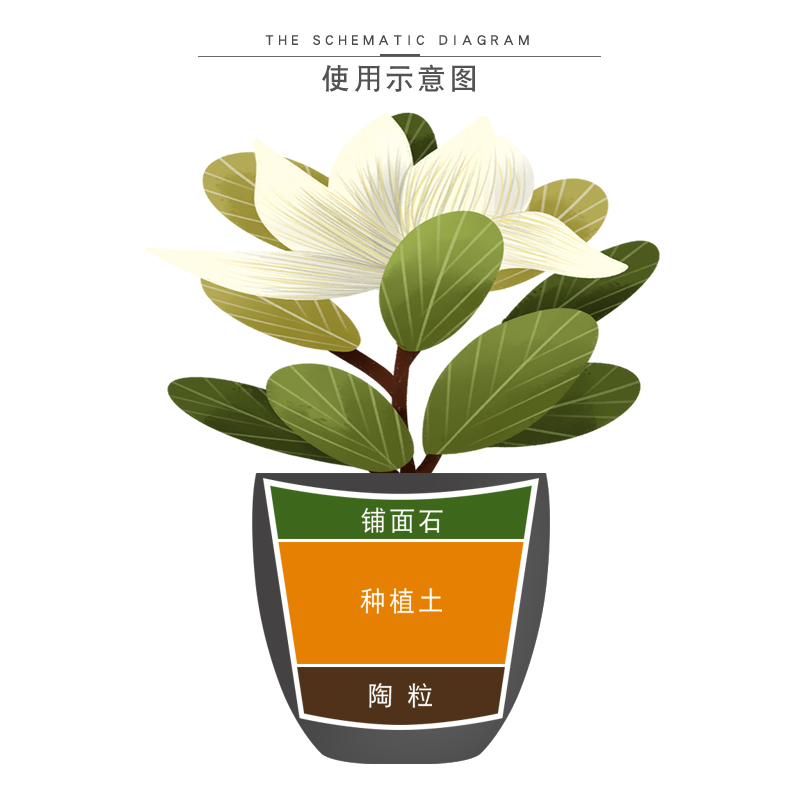 轻质花用陶粒花盆垫底透气防烂根多肉铺底石绿植铺面水培无土栽培