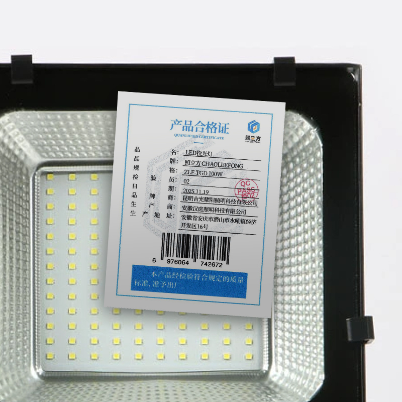 照立方 CHAOLEEFONG LED投光灯 ZLF-TGD 100w 个高清大图