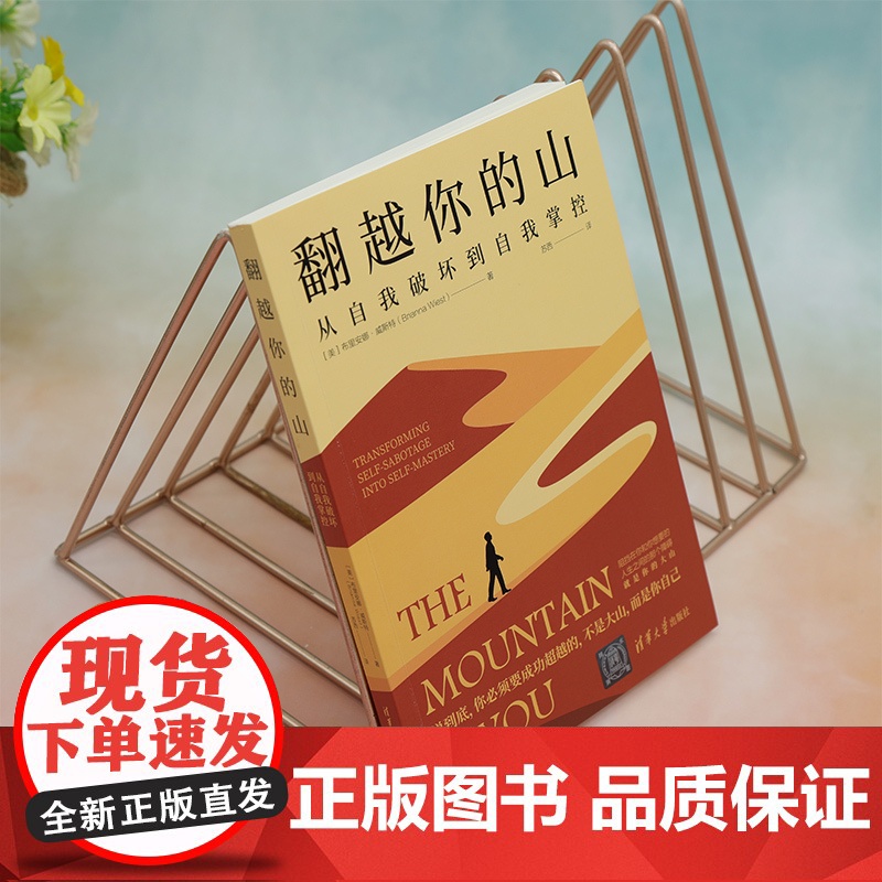 正版新书 翻越你的山:从自我破坏到自我掌控 [美]布里安娜·威斯特 清华大学出版社 成功心理-通俗读物高清大图