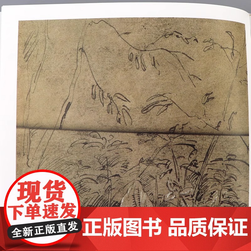[央视网]透纳 泰晤士哈德逊世界艺术巡礼 176幅全彩插图 艺术画册 画作品评 传记解读 还原透纳艺术生涯 艺术经典画高清大图