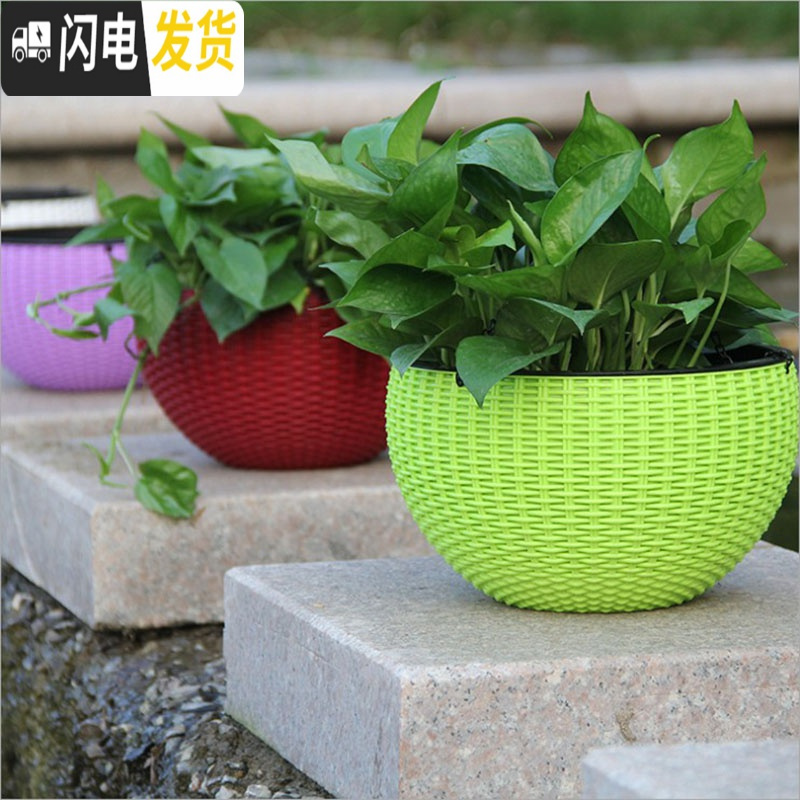 三维工匠吊兰绿萝花盆花盆悬挂盆室内垂吊垂挂吊盆式吊着的塑料吊篮花盆 酒红色[送链子+定植篮] 小号(直径16.5花盆容器