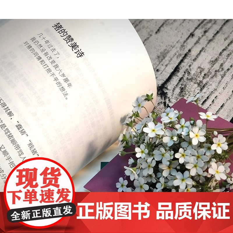 正版新书正是橙黄橘绿时 肖复兴 暖心新作 一份人生小哲书 温暖你的三餐和四季 收获优雅与从容肖复兴散文集小说书籍高清大图