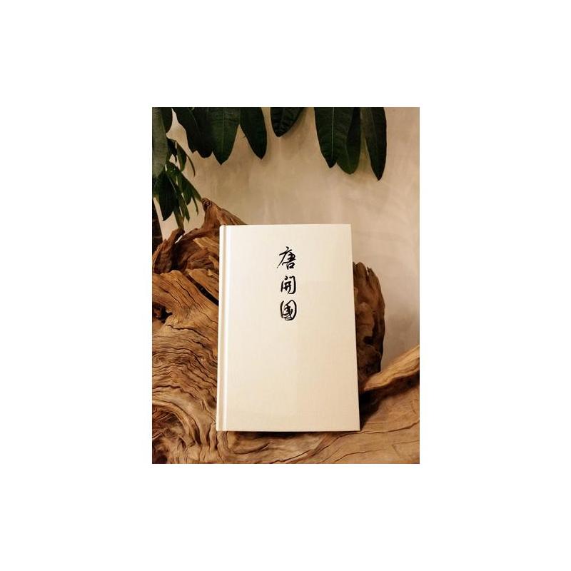 新民说·唐开国