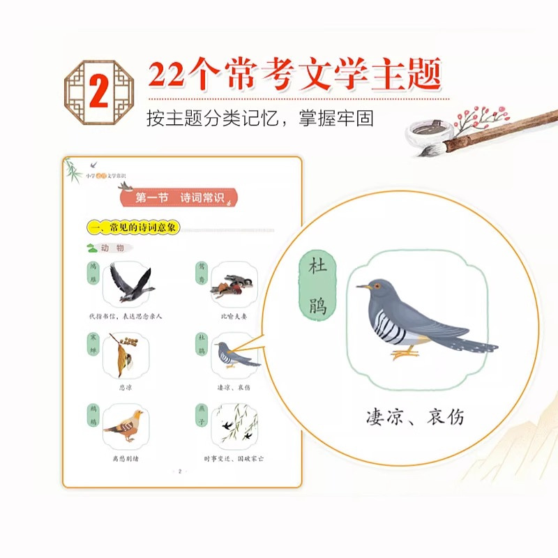 小学生必背文学常识 小学通用 [正版]抖音小学生必背文学常识彩图版 小学文学常识积累大全百科全书1-6年级人教版一本