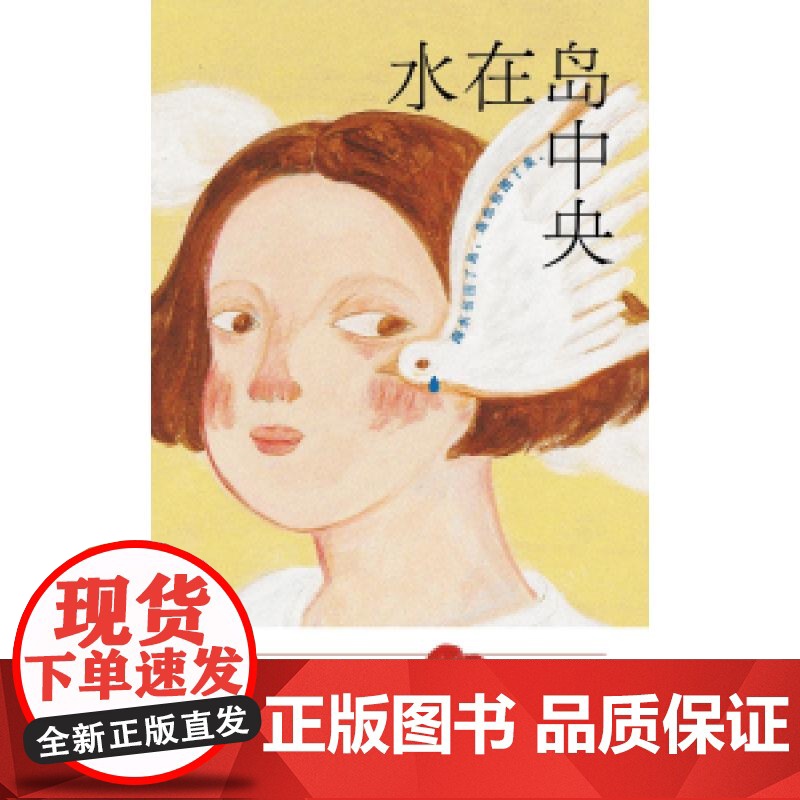 水在岛中央 李停著上海文艺出版社东亚家庭关系母女长篇小说高清大图
