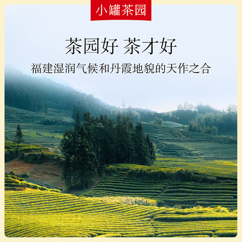 小罐茶 XIAO GUAN TEA 彩标系列大红袍茶80g高清大图