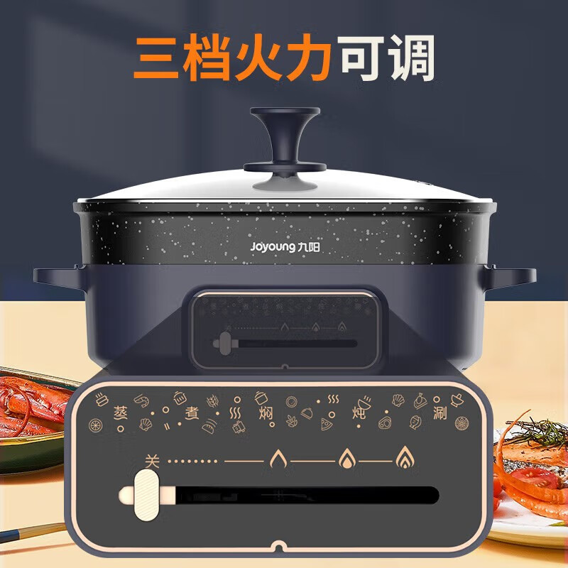 九阳(Joyoung)6L电火锅HG60-G650高清大图
