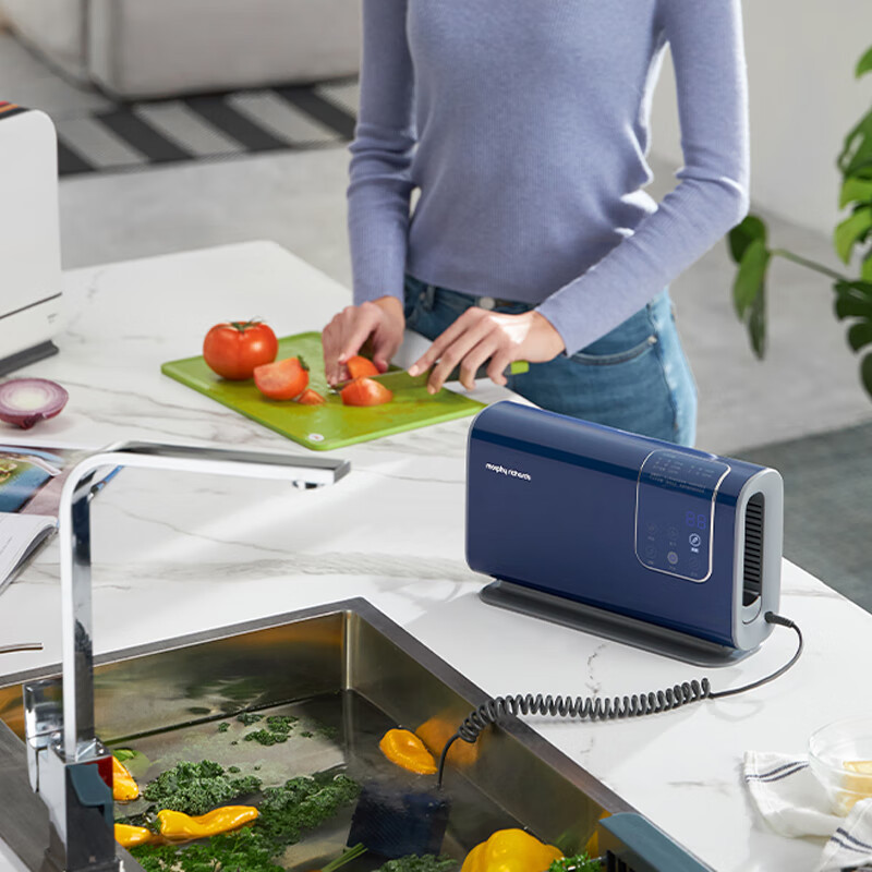 摩飞电器(MORPHY RICHARDS)食材净化器 果蔬清洗机去农残净化机器 杀菌烘干洗菜消毒神器轻奢蓝MR2061