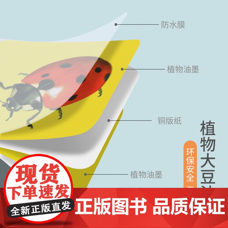 动物世界 阳光宝贝撕不烂涂鸦认知卡水画本认物卡儿童画画教材涂色本0-2-3-4岁宝宝早教卡片启蒙书籍婴幼儿图案早教卡片幼高清大图
