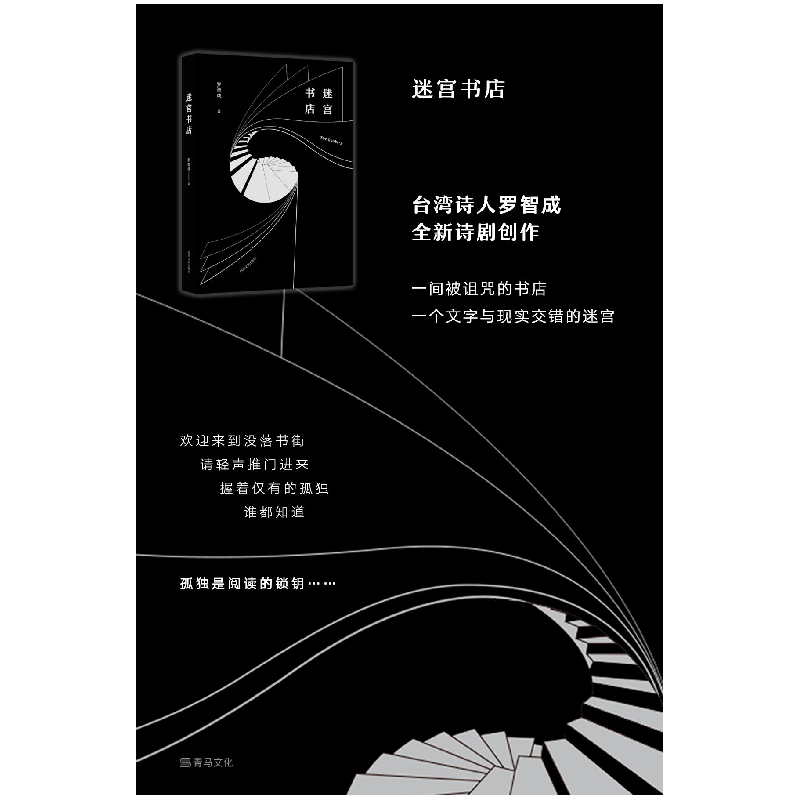 正版新书]迷宫书店罗智成9787541147067高清大图