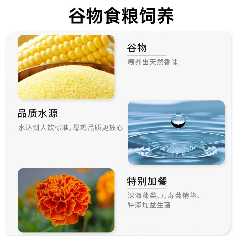 黄天鹅 凤集安心老母鸡1.2kg/个高清大图