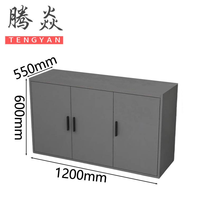 腾焱 储物柜 C55 个