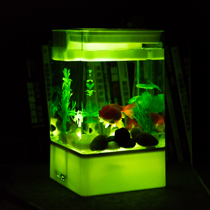 水培植物养鱼缸一体家用塑料创意懒人小型免换水桌面斗鱼专用客厅高清大图