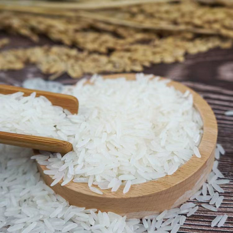 金熊jinxiong大米